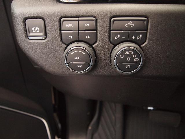 2025 Chevrolet Silverado 1500 Vehicle Photo in MADISON, IN 47250-1611