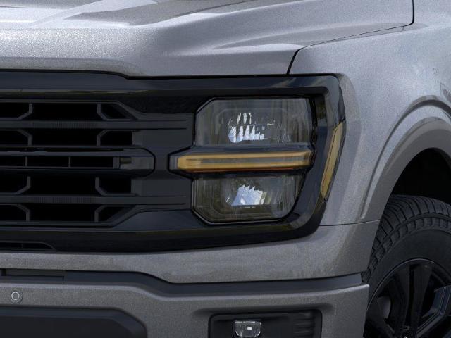 2025 Ford F-150 Vehicle Photo in Weatherford, TX 76087