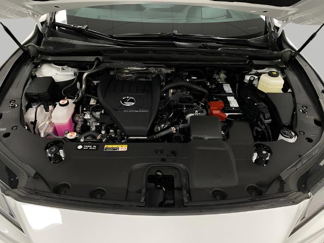 2024 Lexus RX 350 Vehicle Photo in Appleton, WI 54913