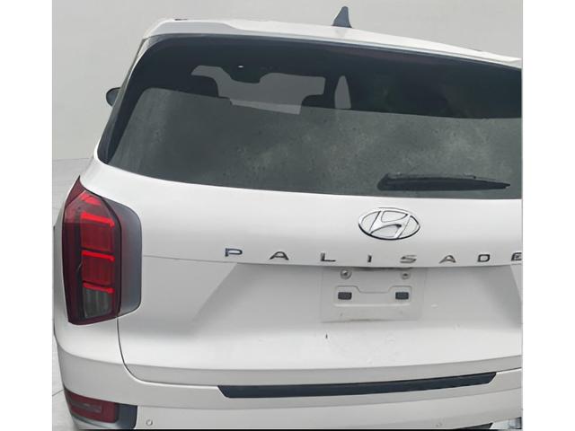 2020 Hyundai Palisade Vehicle Photo in NEENAH, WI 54956-2243