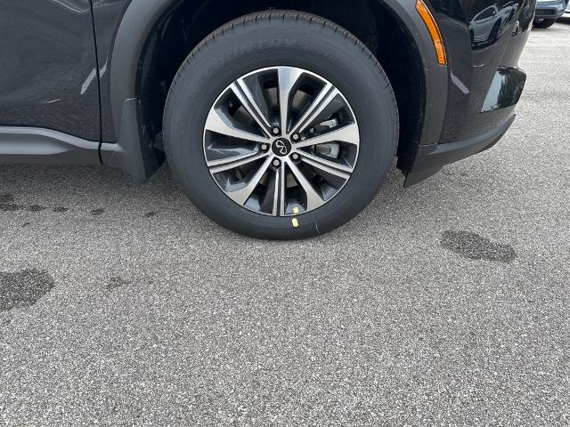 2024 INFINITI QX60 Vehicle Photo in San Antonio, TX 78230