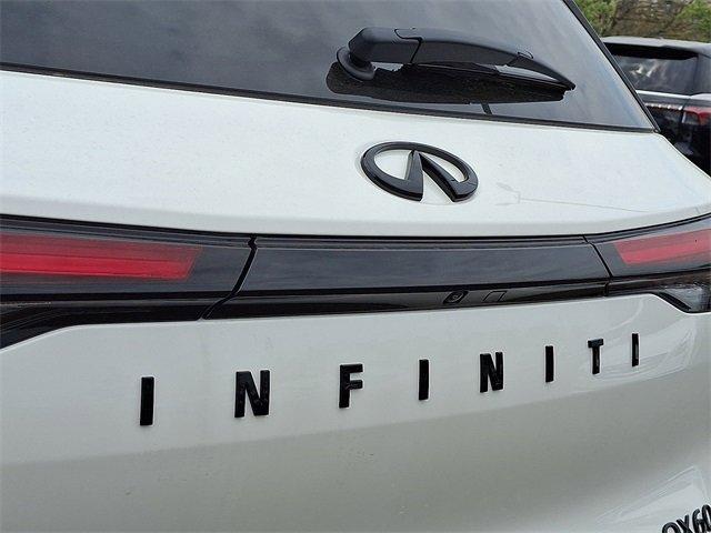 2025 INFINITI QX60 Vehicle Photo in Willow Grove, PA 19090