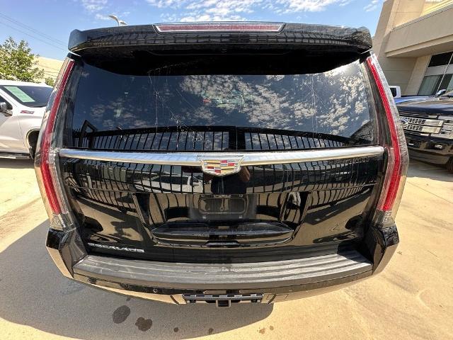 2019 Cadillac Escalade Vehicle Photo in San Antonio, TX 78230
