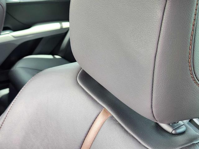 2019 Toyota Camry Vehicle Photo in DENTON, TX 76210-9321