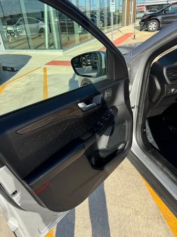 2020 Ford Escape Vehicle Photo in Peoria, IL 61615