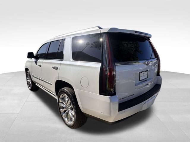 2019 Cadillac Escalade Vehicle Photo in DELRAY BEACH, FL 33483-3294