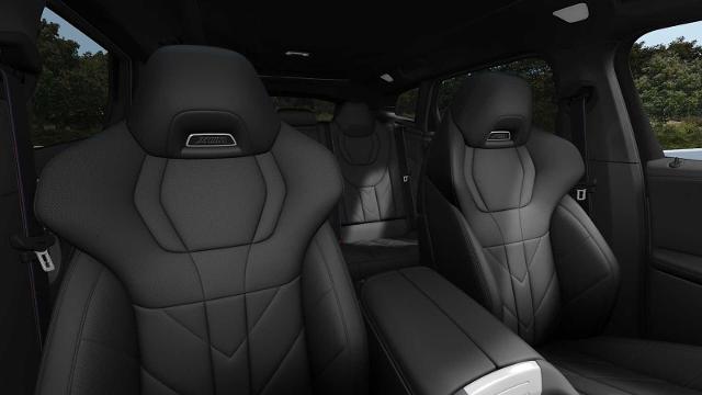 2025 BMW XM Vehicle Photo in GRAPEVINE, TX 76051