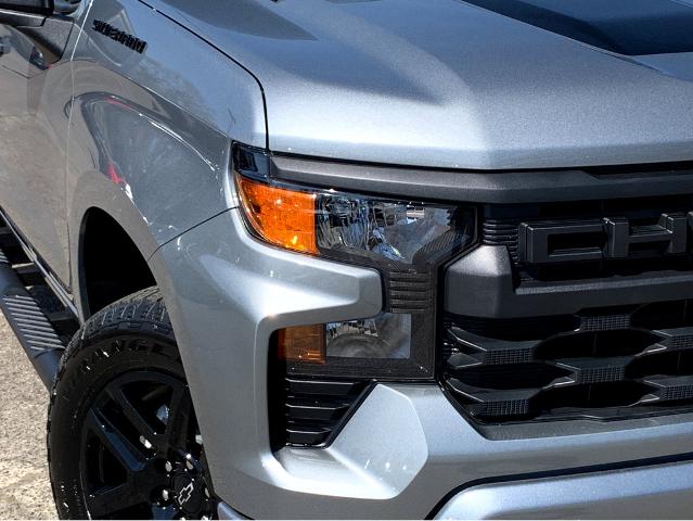 2025 Chevrolet Silverado 1500 Vehicle Photo in SAVANNAH, GA 31406-4513