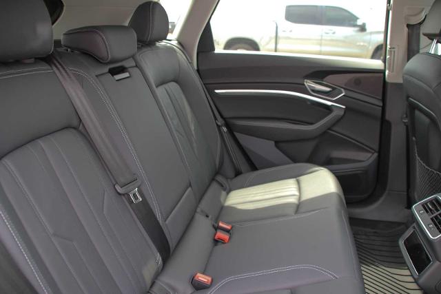 2022 Audi e-tron Vehicle Photo in SUGAR LAND, TX 77478