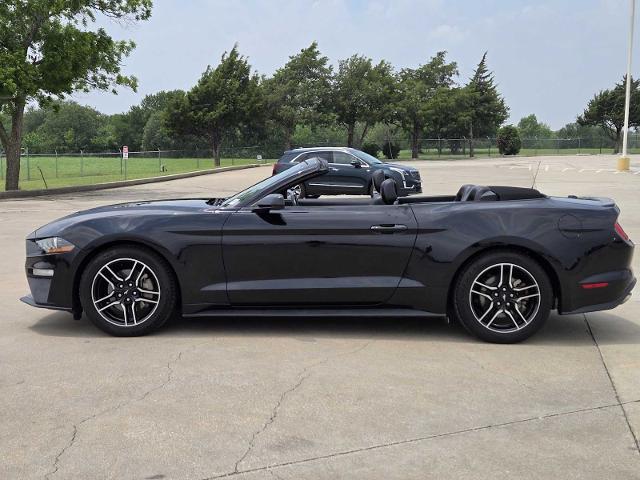 2022 Ford Mustang Vehicle Photo in DENTON, TX 76210-9321