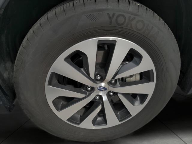 2024 Subaru Outback Vehicle Photo in Green Bay, WI 54304