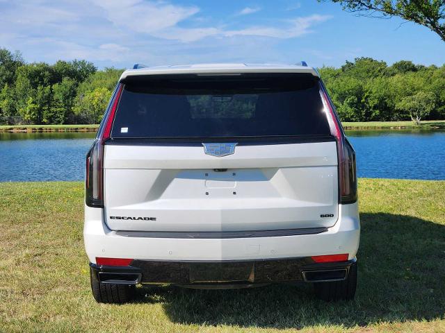 2022 Cadillac Escalade Vehicle Photo in DENTON, TX 76210-9321