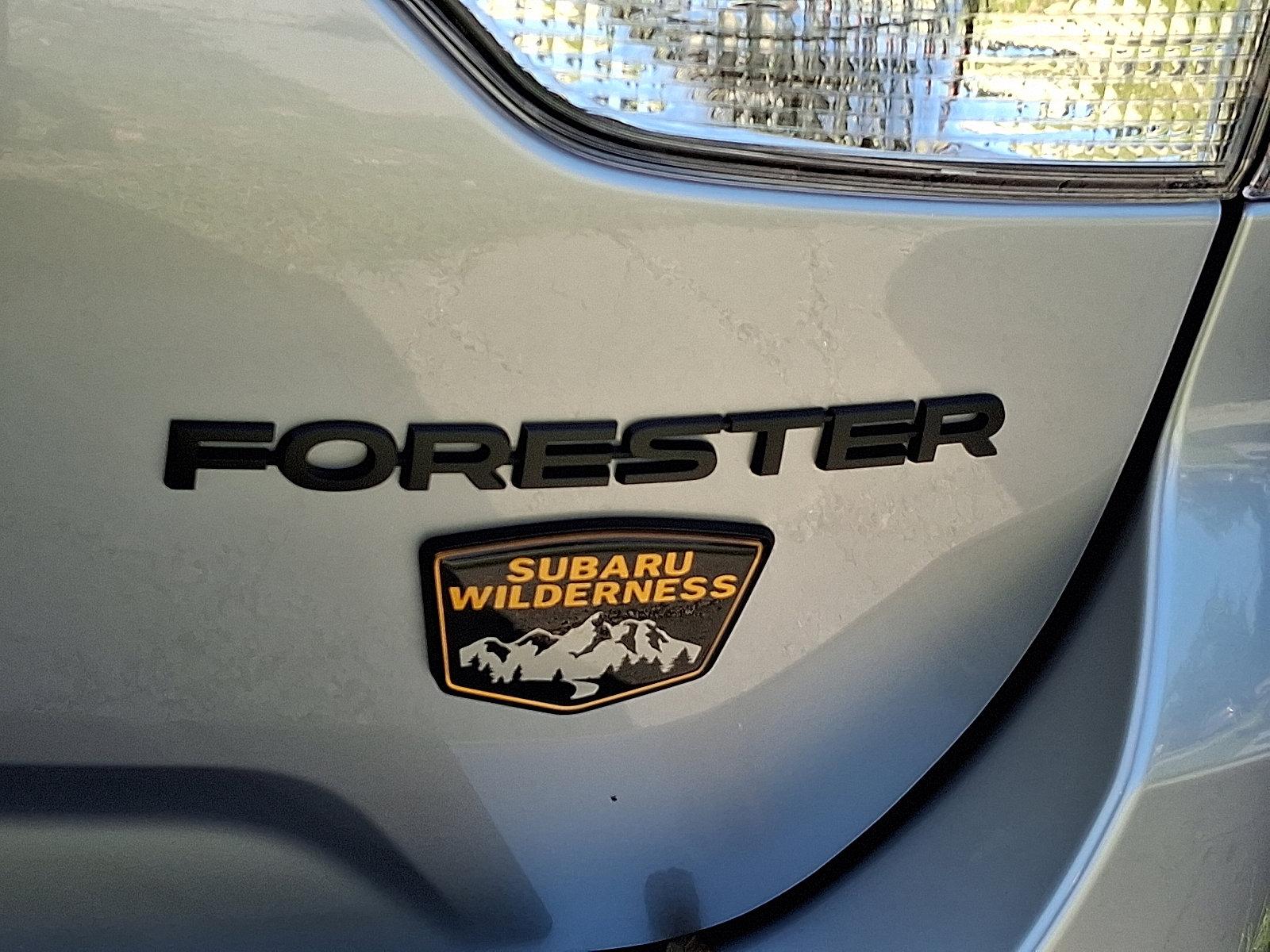 2025 Subaru Forester Vehicle Photo in Harrisburg, PA 17111