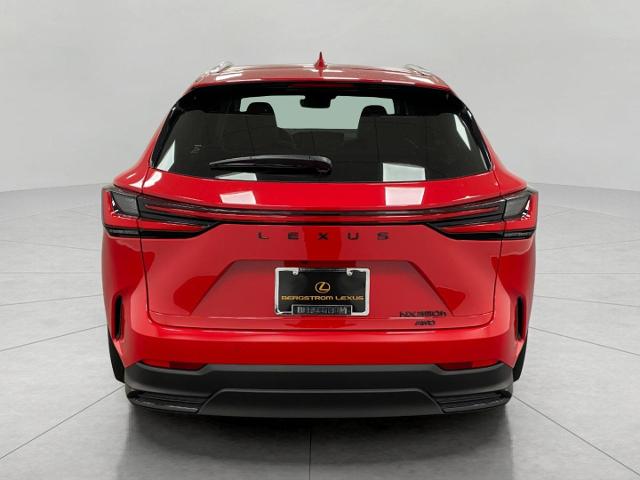 2025 Lexus NX 350h Vehicle Photo in Appleton, WI 54913
