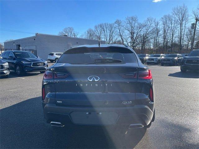 2024 INFINITI QX55 Vehicle Photo in Willow Grove, PA 19090