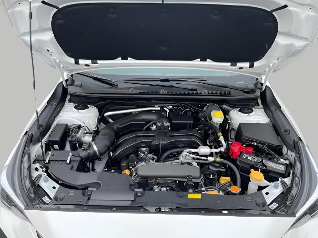 2025 Subaru Crosstrek Vehicle Photo in Oshkosh, WI 54904