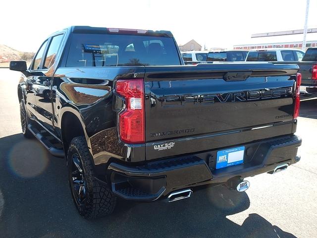 2025 Chevrolet Silverado 1500 Vehicle Photo in JASPER, GA 30143-8655