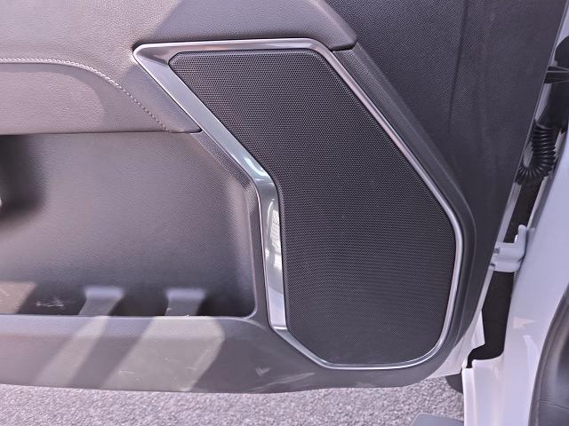 2023 Chevrolet Silverado 1500 Vehicle Photo in NEDERLAND, TX 77627-8017