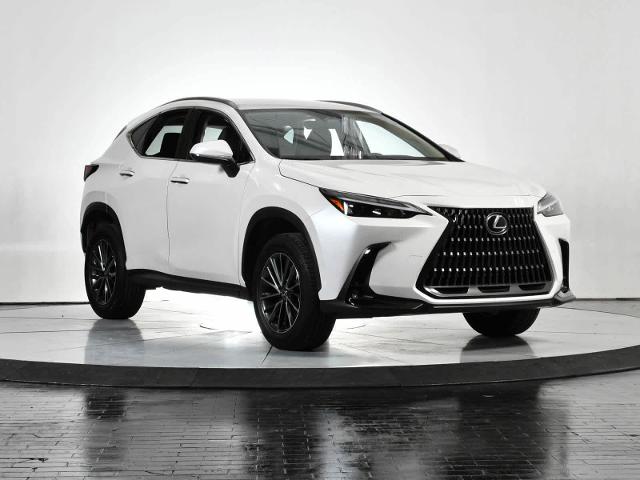2024 Lexus NX 250 Vehicle Photo in DALLAS, TX 75235