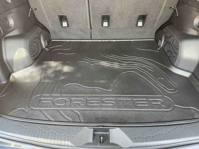 2025 Subaru Forester Vehicle Photo in DALLAS, TX 75209