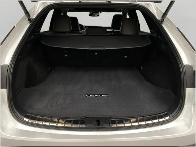 2024 Lexus RX 350 Vehicle Photo in Appleton, WI 54913