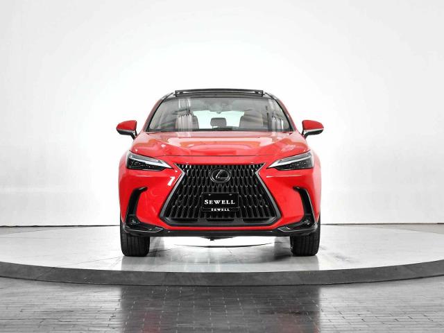 2022 Lexus NX 350 Vehicle Photo in DALLAS, TX 75235