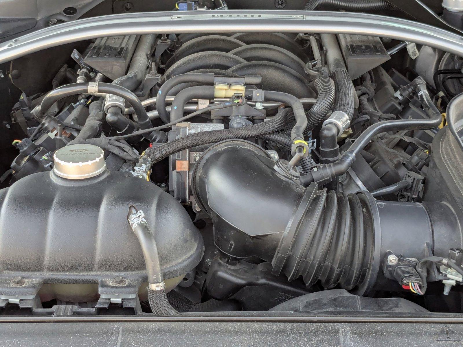 2019 Ford Mustang Vehicle Photo in St. Petersburg, FL 33713