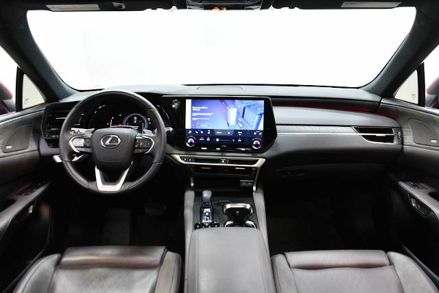 2023 Lexus RX 350 Vehicle Photo in DALLAS, TX 75235