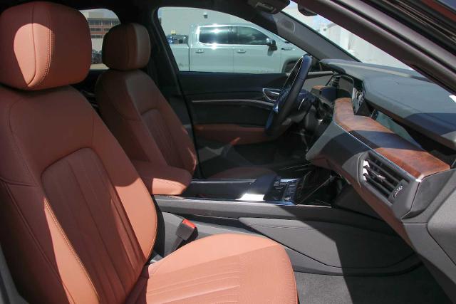 2022 Audi e-tron Vehicle Photo in SUGAR LAND, TX 77478