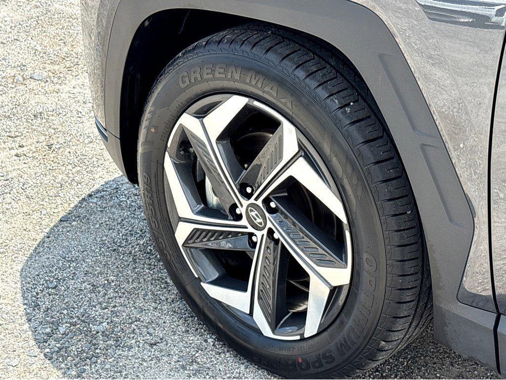 2024 Hyundai TUCSON Vehicle Photo in SAVANNAH, GA 31406-4513