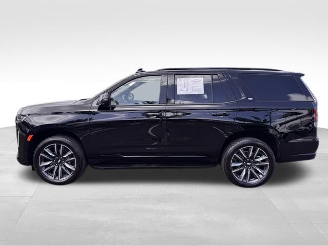 2024 Cadillac Escalade Vehicle Photo in DELRAY BEACH, FL 33483-3294