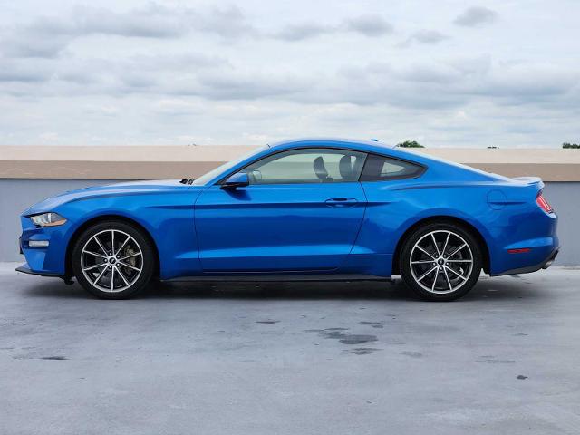 2019 Ford Mustang Vehicle Photo in DALLAS, TX 75209