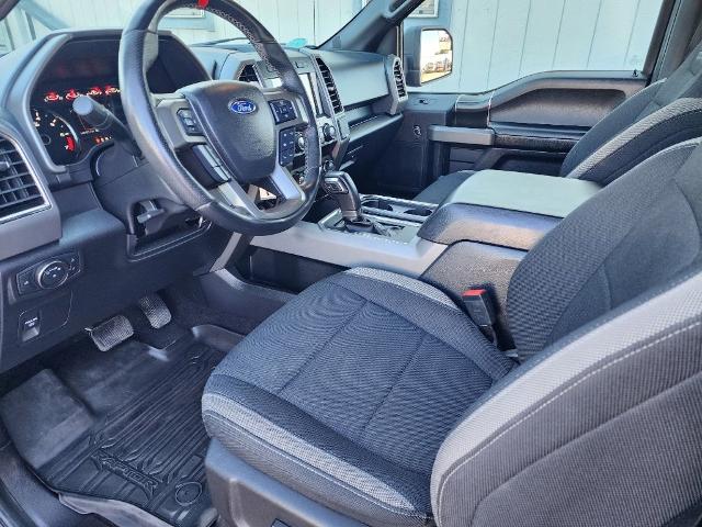 2019 Ford F-150 Vehicle Photo in PARIS, TX 75460-2116