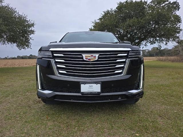 2021 Cadillac Escalade Vehicle Photo in BROUSSARD, LA 70518-0000