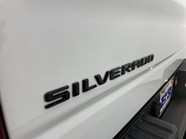 2025 Chevrolet Silverado 1500 Vehicle Photo in GILBERT, AZ 85297-0402