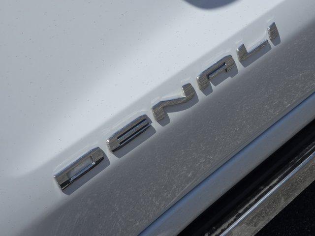 2024 GMC Sierra 1500 Vehicle Photo in Decatur, TX 76234
