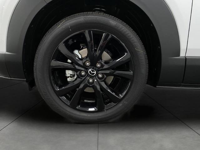 2025 Mazda CX-30 Vehicle Photo in Appleton, WI 54913