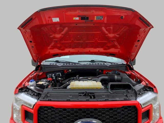 2020 Ford F-150 Vehicle Photo in Oshkosh, WI 54901