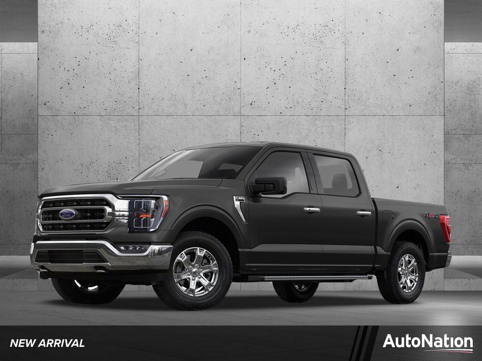 2021 Ford F-150 Vehicle Photo in Bradenton, FL 34207