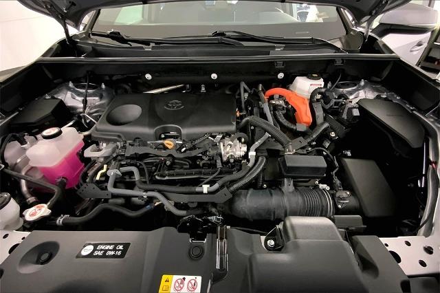 2022 Toyota RAV4 Vehicle Photo in Kansas City, MO 64114