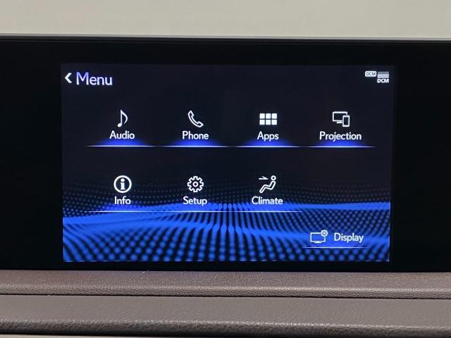 2020 Lexus RX 350 Vehicle Photo in Appleton, WI 54913