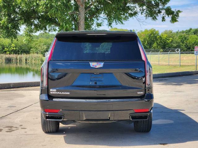 2022 Cadillac Escalade Vehicle Photo in DENTON, TX 76210-9321