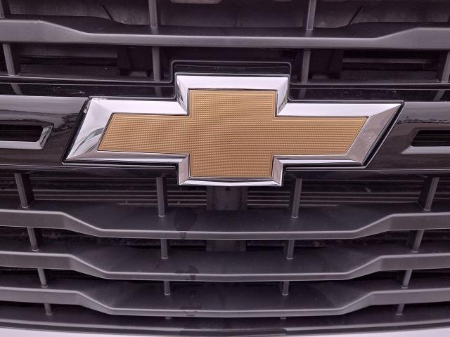 2024 Chevrolet Silverado 2500 HD Vehicle Photo in NEDERLAND, TX 77627-8017