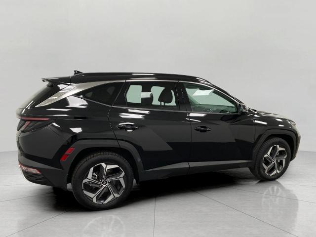 2022 Hyundai TUCSON Vehicle Photo in Appleton, WI 54913