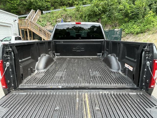 2020 Ford F-150 Vehicle Photo in PITTSBURGH, PA 15226-1209