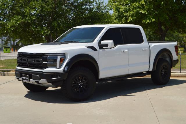 2025 Ford F-150 Vehicle Photo in Houston, TX 77090