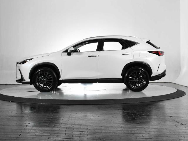 2024 Lexus NX 250 Vehicle Photo in DALLAS, TX 75235