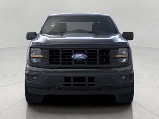 2025 Ford F-150 Vehicle Photo in Neenah, WI 54956