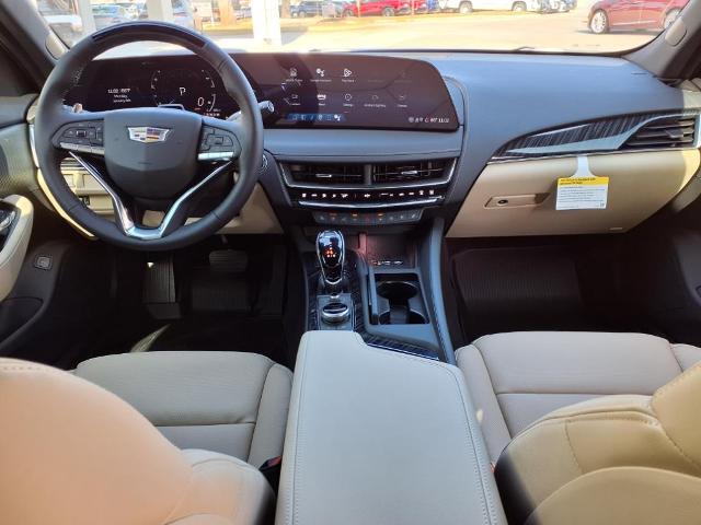 2025 Cadillac CT5 Vehicle Photo in TAMPA, FL 33612-3404