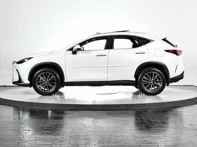 2024 Lexus NX 350h Vehicle Photo in DALLAS, TX 75235